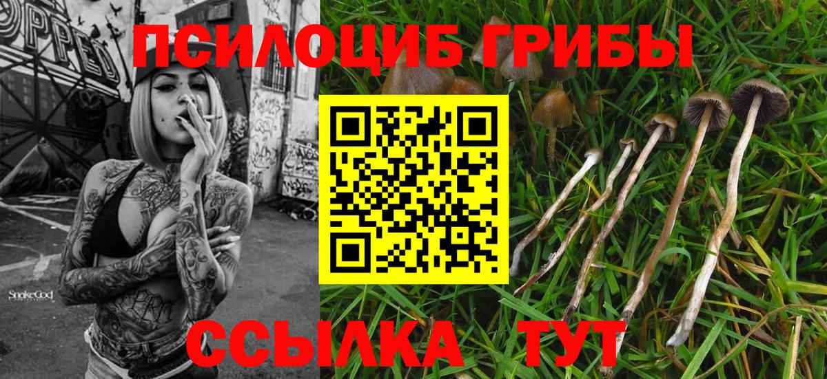 Псилоцибиновые грибы Psilocybine cubensis  купить наркотики сайты  Усинск  Вход с VPN 