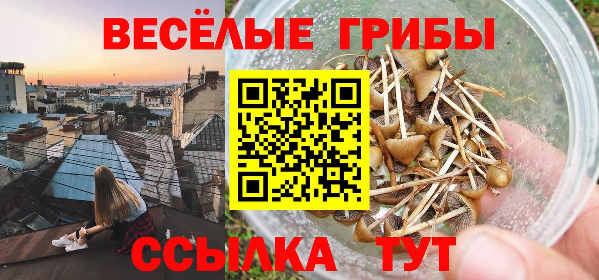 Галлюциногенные грибы прущие грибы Усинск